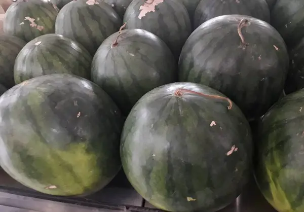 Pasar Petani Dengan Semangka Rak Terbuka Pameran Konter Sayuran Dan — Stok Foto