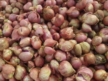 Yakın çekim organik kırmızı soğan yığını mağazada sergileniyor. Taze kırmızı soğan kırıntısı. Süpermarkette toptan satılacak yeni ekin soğanlarının olgunlaşması. Tarım geçmişi.