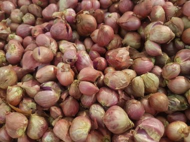 Yakın çekim organik kırmızı soğan yığını mağazada sergileniyor. Taze kırmızı soğan kırıntısı. Süpermarkette toptan satılacak yeni ekin soğanlarının olgunlaşması. Tarım geçmişi.