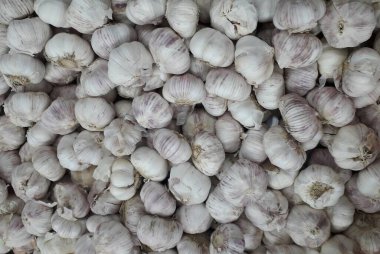 Yerel Pazarda Çiğ Olgun Beyaz Soğan Kazık.