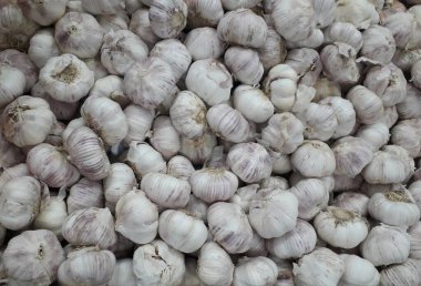 Yerel Pazarda Çiğ Olgun Beyaz Soğan Kazık.