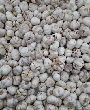 Yerel Pazarda Çiğ Olgun Beyaz Soğan Kazık.