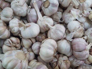 Yerel Pazarda Çiğ Olgun Beyaz Soğan Kazık.