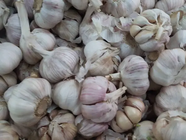 Rauwe Rijpe Witte Uien Stapel Lokale Markt — Stockfoto