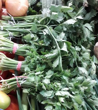 Celery leaves (Apium graveolens), used for cooking spices and medicinal ingredients.