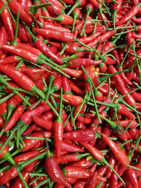 Red Pepper Red Hot Chilli Peppers Pattern Texture Background Close — Foto de Stock