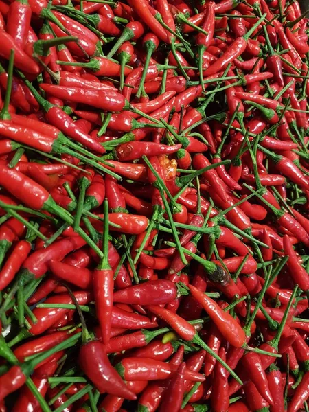 Red pepper. Red hot chilli peppers pattern texture background. Close up. A backdrop of Red hot chilli peppers. selective focus chilli