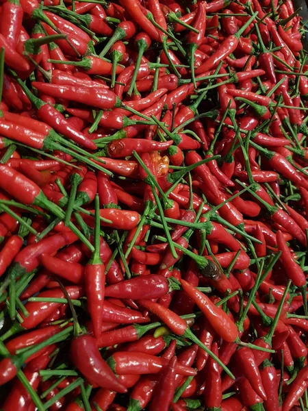 Red pepper. Red hot chilli peppers pattern texture background. Close up. A backdrop of Red hot chilli peppers. selective focus chilli