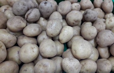 Patates. Masaüstünde bir fotoğraf. arka plan resmi. Hasta patates. Lezzetli vejetaryen yemekleri.