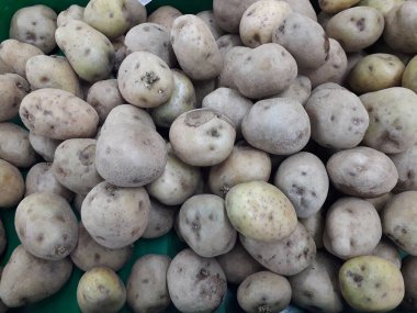 Patates. Masaüstünde bir fotoğraf. arka plan resmi. Hasta patates. Lezzetli vejetaryen yemekleri.