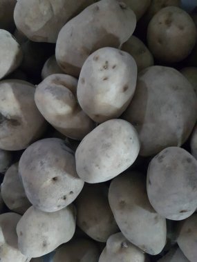 Patates. Masaüstünde bir fotoğraf. arka plan resmi. Hasta patates. Lezzetli vejetaryen yemekleri.