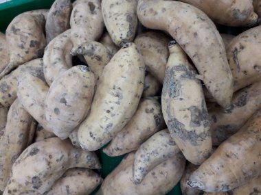 Pazar için tatlı patatesler. Tezgahta taze patates var. Arkaplan ya da doku olarak kullanılabilen tatlı patates yığını resmi