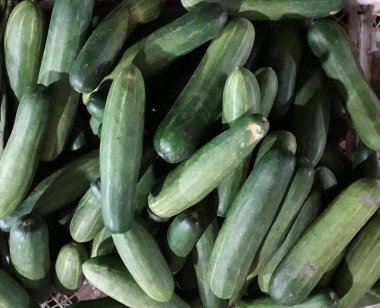 Yığınla yeşil, küçük, dikenli salatalık bir markette üst üste yatıyor.