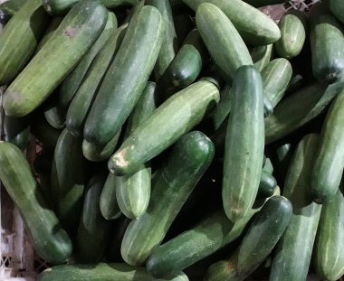 Yığınla yeşil, küçük, dikenli salatalık bir markette üst üste yatıyor.