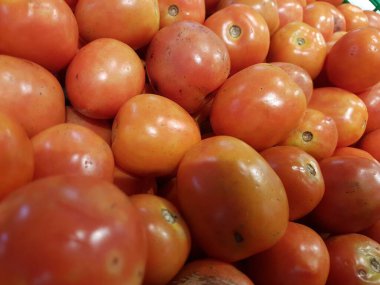 Lezzetli kırmızı domates. Yaz tepsi Pazar tarım çiftlik tam organik sebze arka plan olarak kullanılabilir. (seçici odak)