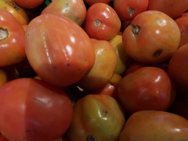 Lezzetli kırmızı domates. Yaz tepsi Pazar tarım çiftlik tam organik sebze arka plan olarak kullanılabilir. (seçici odak)