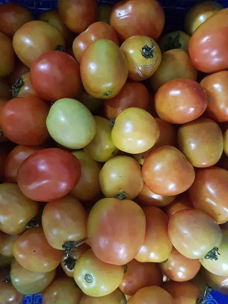 Köstliche Rote Tomaten Sommer Tablett Markt Bauernhof Voller Bio Gemüse — Stockfoto