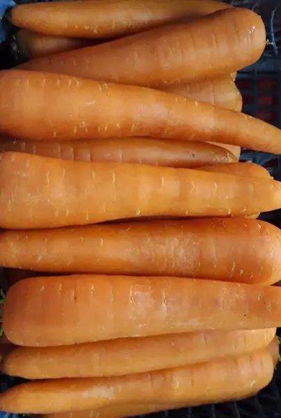Macro Foto Alimento Primavera Zanahoria Vegetal Textura Fondo Zanahorias Naranjas —  Fotos de Stock