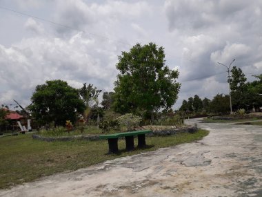 Yeşil kenarlı Paved otoparkı; genç çalılarla sınırlandırılmış gri ve beyaz beton taşlarla döşenmiş park alanı; bahçe tasarımı ve peyzaj mimarisi;