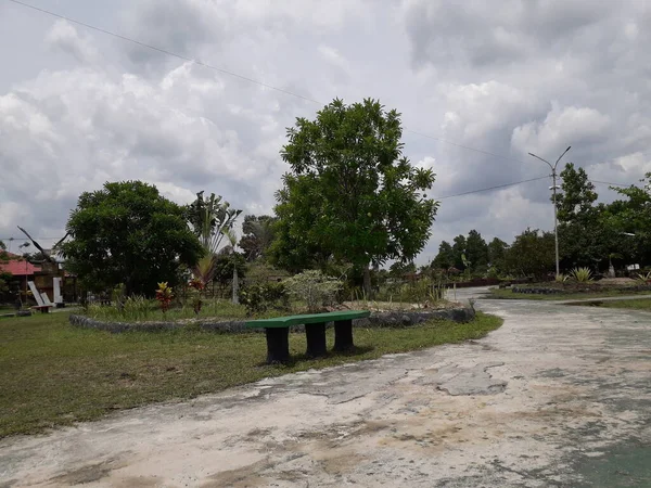 Yeşil Kenarlı Paved Otoparkı Genç Çalılarla Sınırlandırılmış Gri Beyaz Beton — Stok fotoğraf