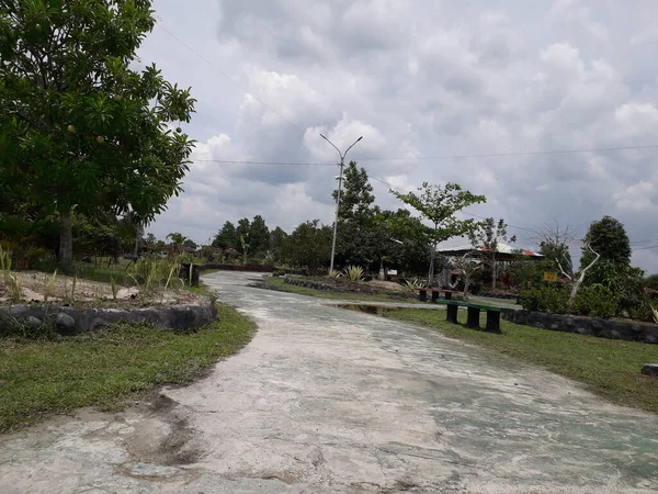 Paved Car Park Green Border Parking Area Paved Grey White — Foto de Stock