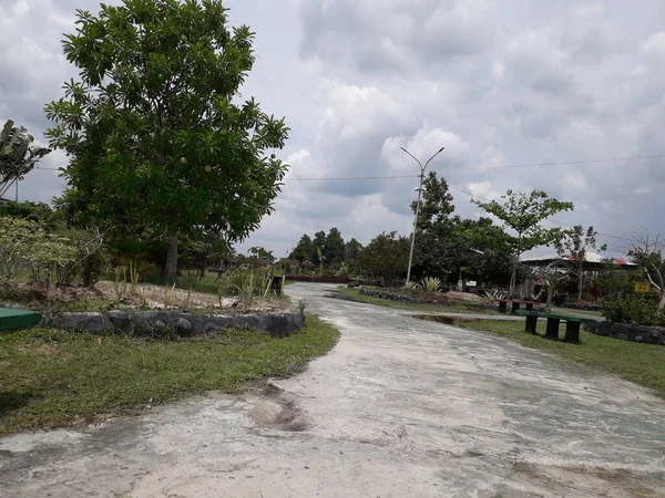 Paved Car Park Green Border Parking Area Paved Grey White — 图库照片