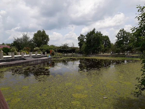 Zöld Határral Borított Pázsitos Parkoló Szürke Fehér Betonkövekkel Borított Parkolóhely — Stock Fotó