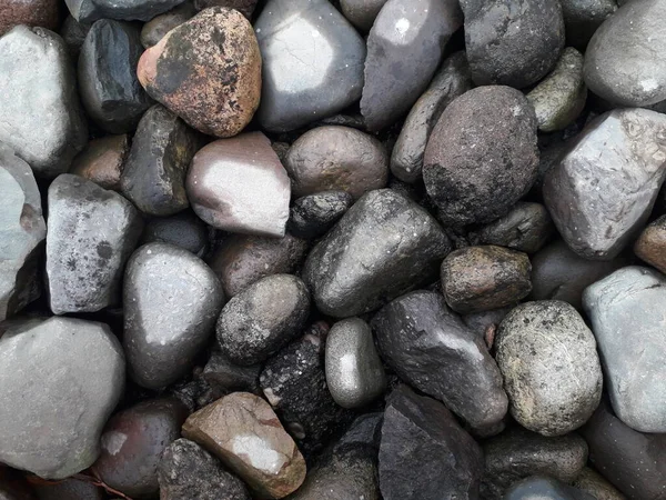 Stein Gemeißelte Bilder Von Hirschen Urlaub Glänzenden Blackstones Strand Natur — Stockfoto