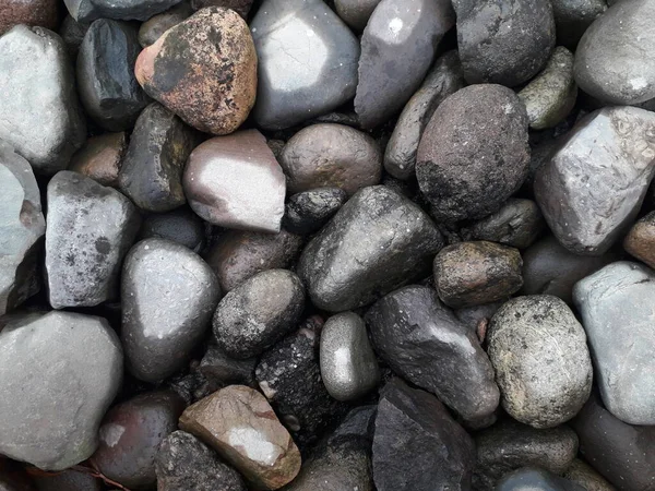 Esculpido Imagens Pedra Veados Férias Brilhante Praia Das Pedras Negras — Fotografia de Stock