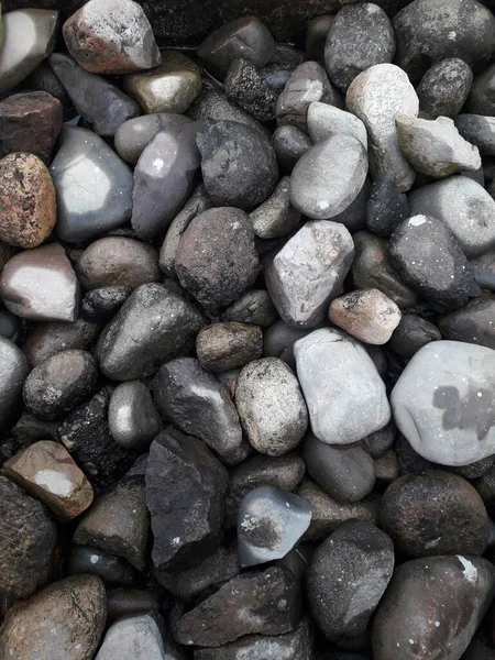 Esculpido Imagens Pedra Veados Férias Brilhante Praia Das Pedras Negras — Fotografia de Stock