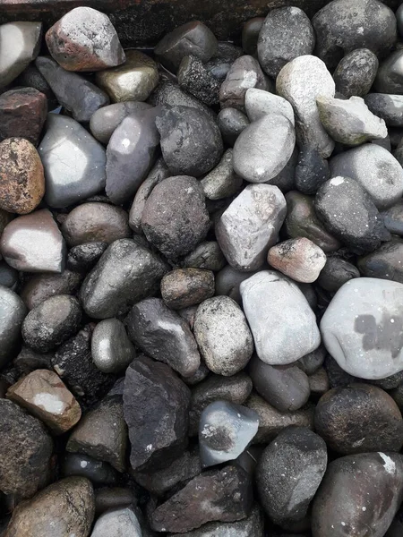 Tallado Imágenes Piedra Ciervos Vacaciones Playa Piedras Negras Brillantes Fondo — Foto de Stock