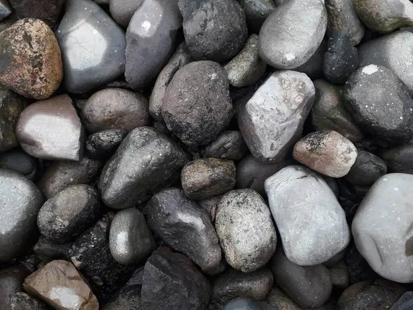 Scolpito Immagini Pietra Cervo Vacanza Sulla Spiaggia Pietre Nere Lucide — Foto Stock