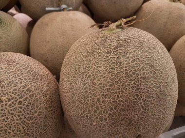 melon fruit in the market. Ripe melons, background for the sale of fruits. pile of melons for sale in the supermarket