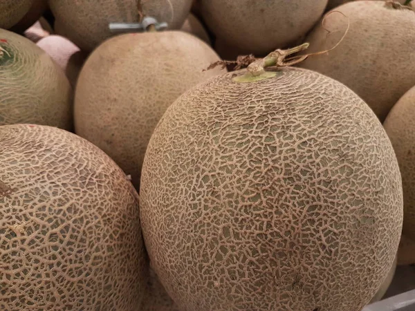 melon fruit in the market. Ripe melons, background for the sale of fruits. pile of melons for sale in the supermarket