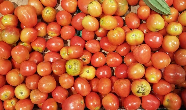 Köstliche Rote Tomaten Sommer Tablett Markt Bauernhof Voller Bio Gemüse — Stockfoto