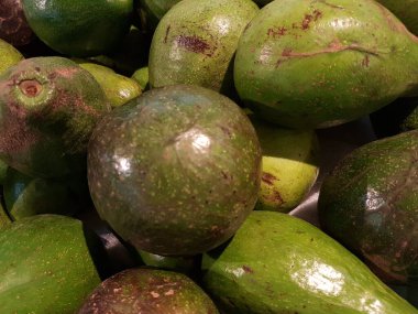 Avokado Depo ya da Market 'e gönderilmeye hazır. Avokado 'nun Reed Çeşitliliği.