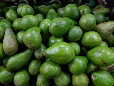 Avokado Depo ya da Market 'e gönderilmeye hazır. Avokado 'nun Reed Çeşitliliği.