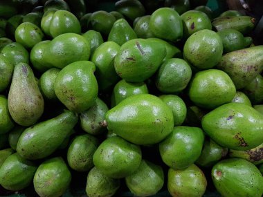 Avokado Depo ya da Market 'e gönderilmeye hazır. Avokado 'nun Reed Çeşitliliği.