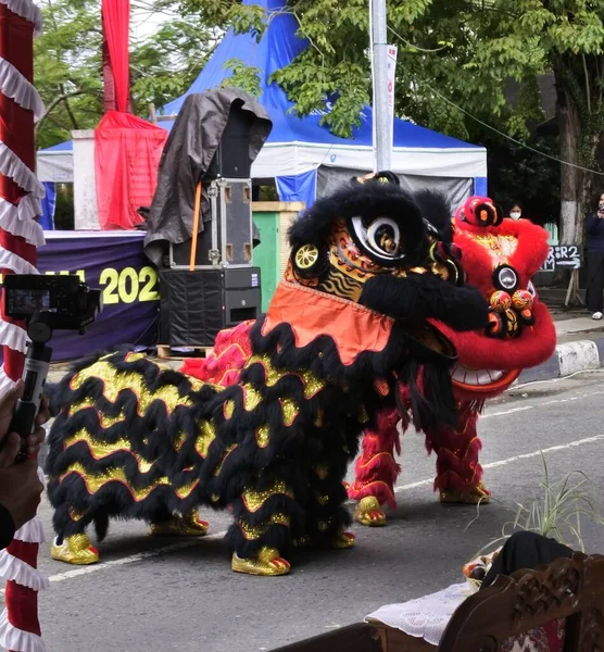 Banjarmasin Zuid Kalimantan Indonesië Augustus 2022 Barongsai Dance Het Archipelago — Stockfoto