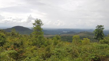 Tahura 'daki dağ. Büyük Orman Parkı (TAHURA) Sultan Adam, Mandiangin, Kec Hemat Aranio, Kabupaten Banjar.