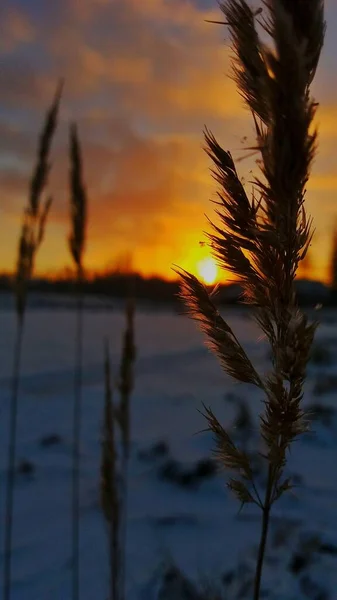 The magic of snow and frost