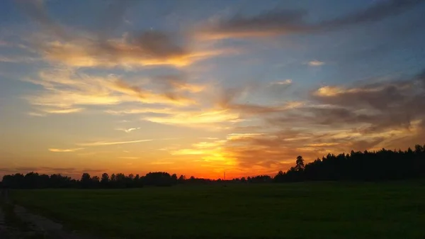 Silence Beauty Summer Evening — Stock Photo, Image