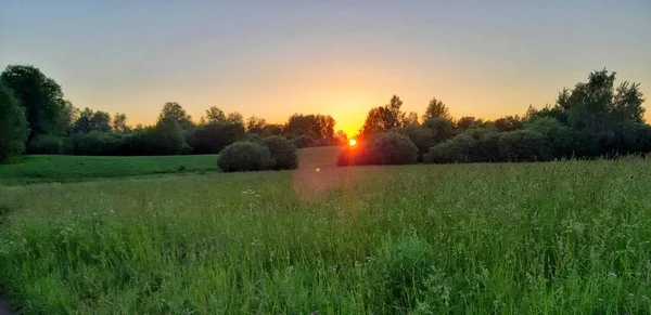 Die Ruhe Und Schönheit Der Sommerabende — Stockfoto