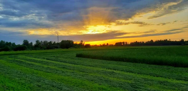 Peace Beauty Summer Evenings — Stock Photo, Image