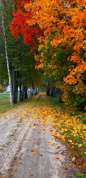 Autumn Colors World — Φωτογραφία Αρχείου