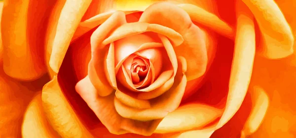 Kaunis Keltainen Ruusu Kukka Puutarhassa — kuvapankkivalokuva