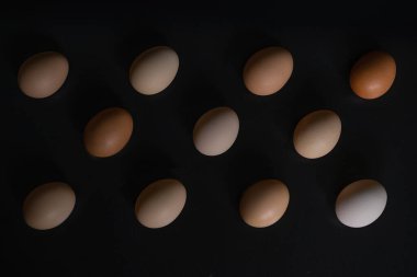 Rastgele dizilmiş siyah arkaplan üzerindeki farklı gölgeli yumurtalar