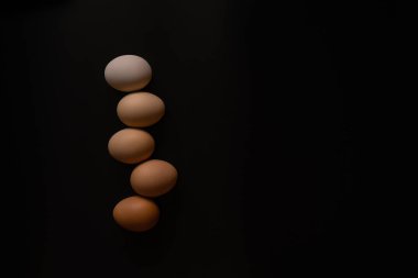 Siyah arkaplanda farklı tonlarda yumurtalar 