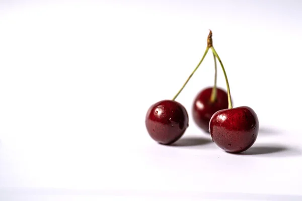Three Cherries Placed Light Background Negative Space — Zdjęcie stockowe