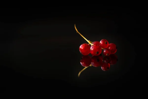 Red Currant Placed Black Mirror Background — Stock Photo, Image